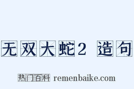 无双大蛇2造句是什么意思的图片